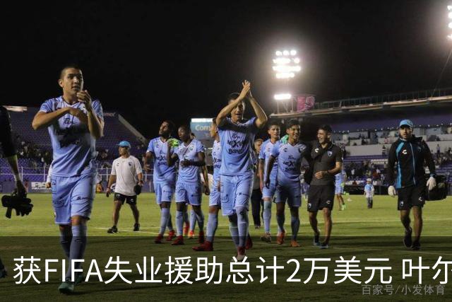 获FIFA失业援助总计2万美元 叶尔杰提成中国球员第一人